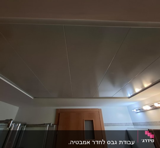 תקרה עם לוחות ותאורה בחדר אמבטיה